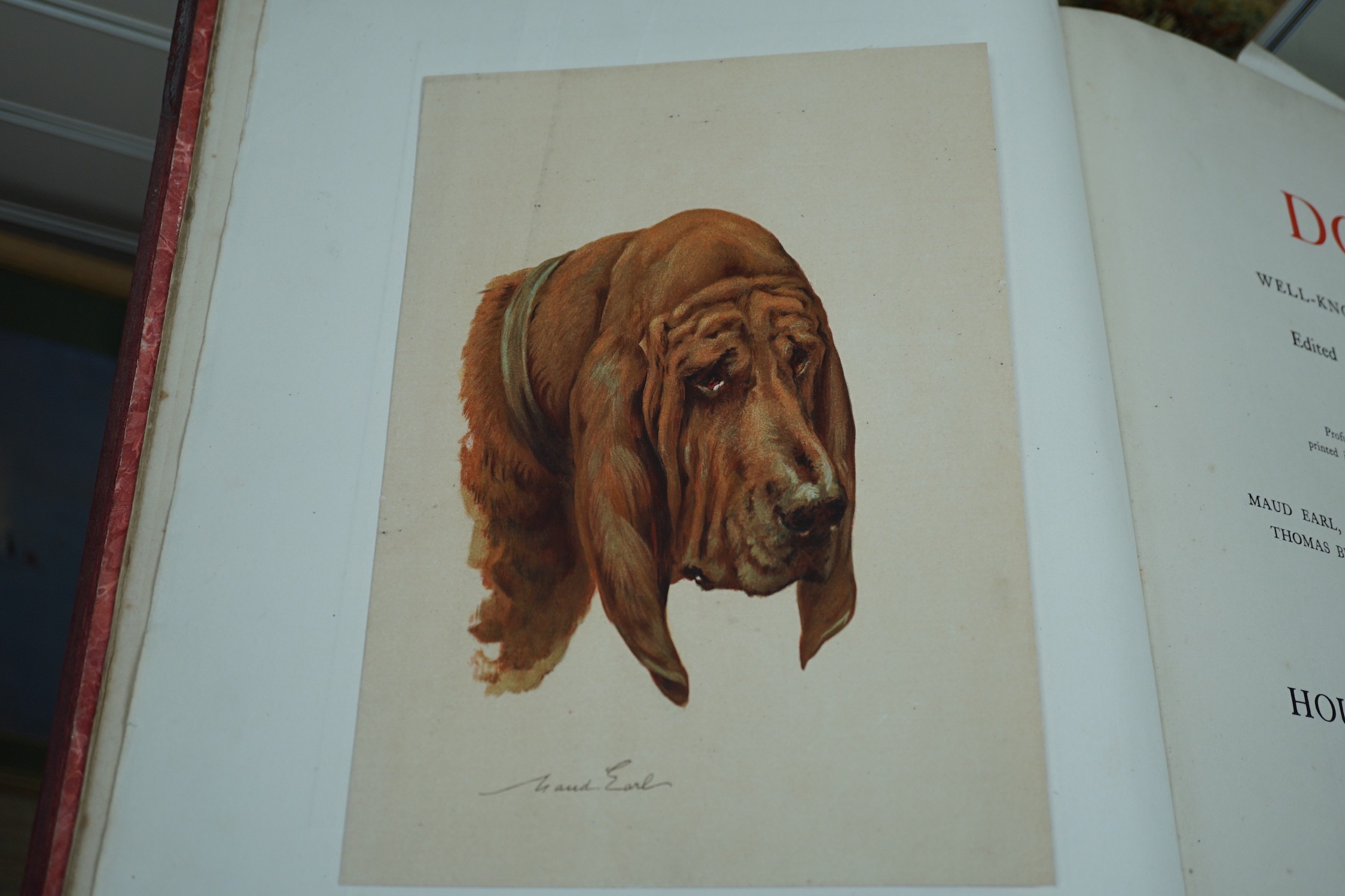 Book: Hounds and Coursing dogs